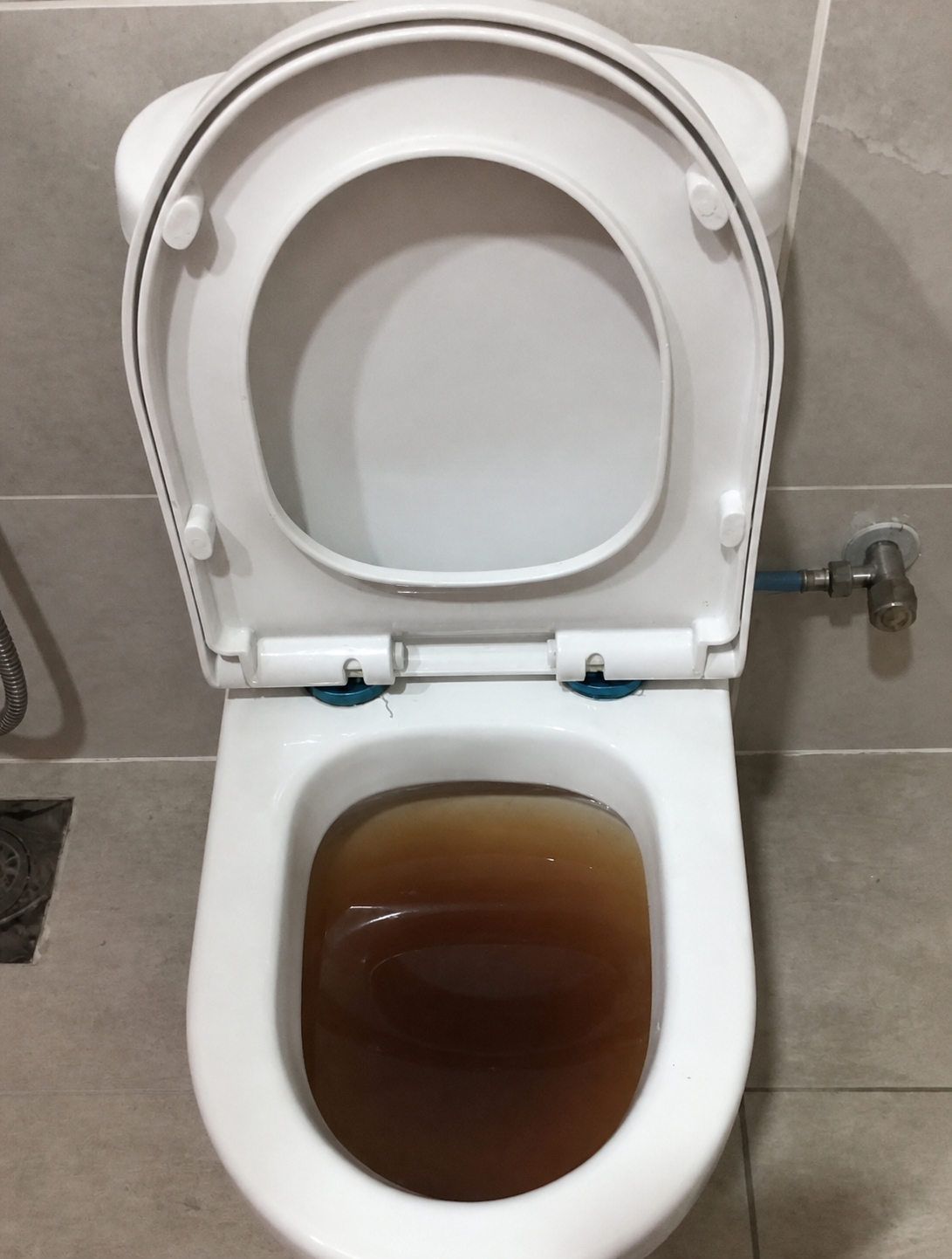 Toilet bowl unclogging work