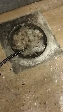 Sink & Floor Trap Blockage